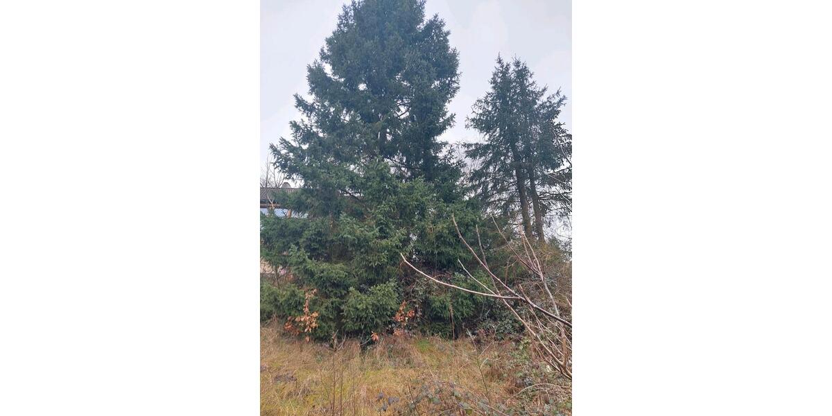 Etagenwohnung Herschweiler-Pettersheim Pettersheim - 2 Zimmer, 73 m&sup2;, 500&euro; | Angebot:25137370