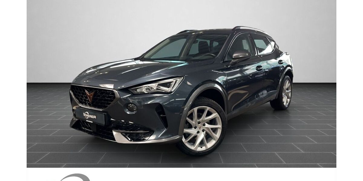 Cupra Formentor 101.004 km 23.990 &euro; Saarbrücken 66115