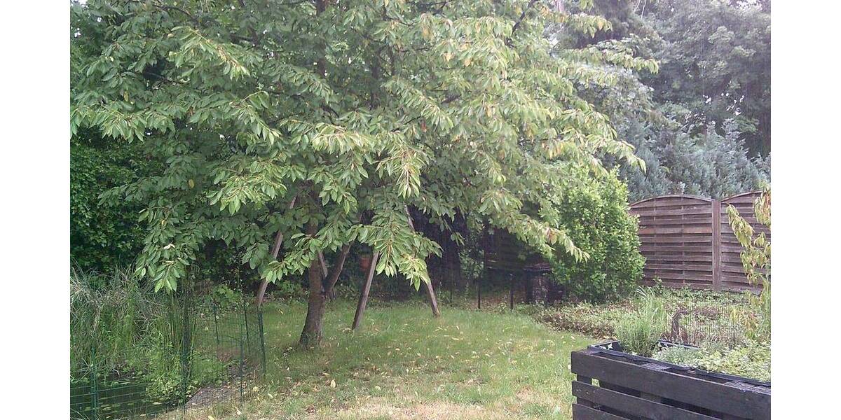 Einfamilienhaus Sankt Ingbert St. Ingbert - 7 Zimmer, 115 m&sup2;, 129.000&euro; | Angebot:26819837