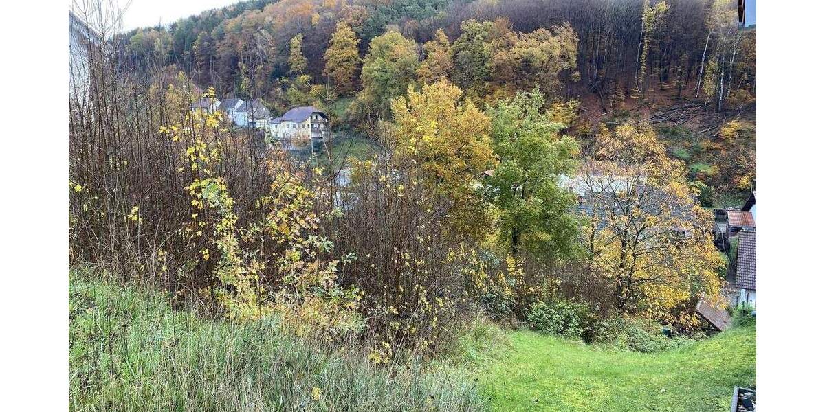 Grundstück Obernheim-Kirchenarnbach Kirchenarnbach - 59.000&euro; | Angebot:25707613