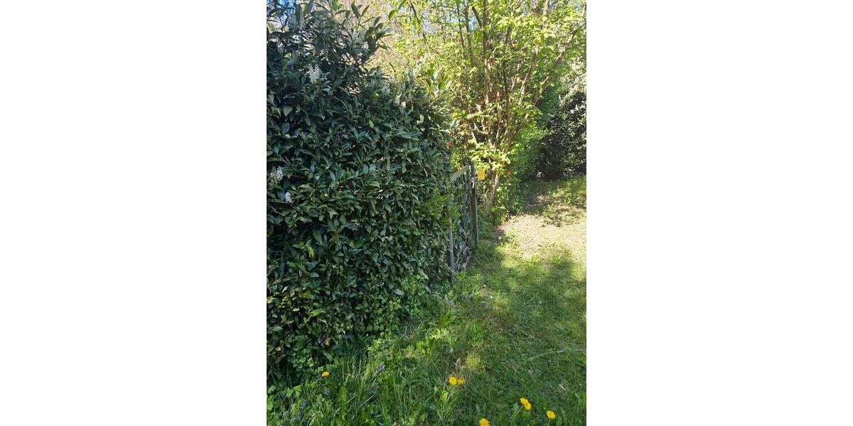Grundstück Pfeffelbach - 13.499&euro; | Angebot:26331391