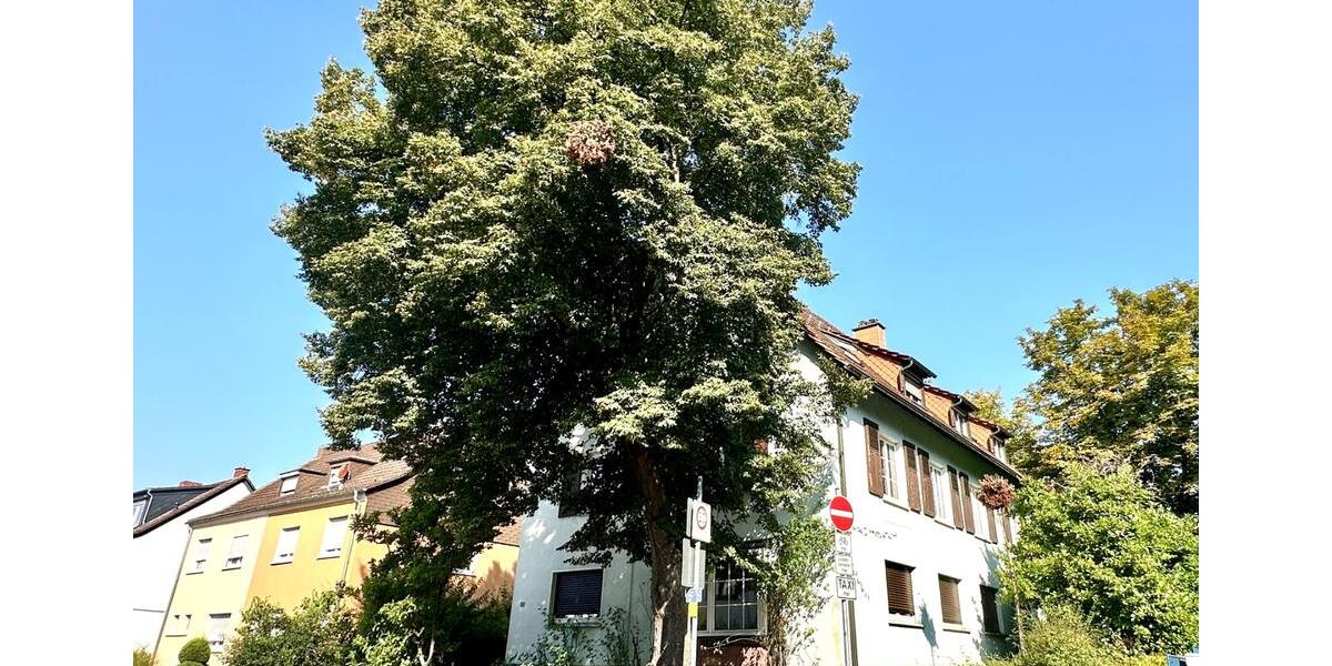 Dachgeschoßwohnung Saarbrücken Malstatt - 2 Zimmer, 71 m&sup2;, 695&euro; | Angebot:25174970