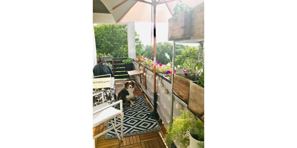 Einfamilienhaus Tholey - 7 Zimmer, 19 m&sup2;, 319.000&euro; | Angebot:26085109