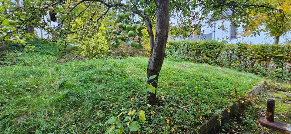 Einfamilienhaus Kleinbundenbach - 100.000&euro; | Angebot:25614212