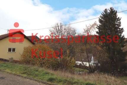 Grundstück Rutsweiler - 29.000&euro; | Angebot:25200893