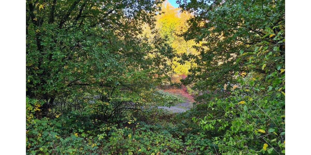 Grundstück Neunkirchen Innenstadt - 495.000&euro; | Angebot:25663077