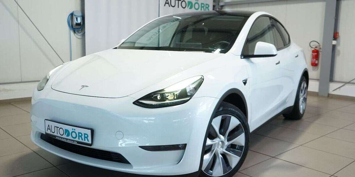 Tesla Model Y 109.890 km 32.900 &euro; Homburg 66424